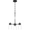 Quoizel Conrad Chandelier CRD5019BN - alternate 6